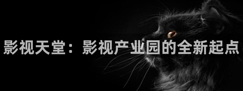 韩国娱乐圈悲惨事件神马影院