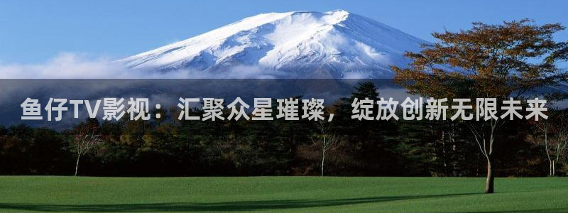 神马影视午夜在线看：鱼仔TV影视：汇聚众星璀璨，绽放创新无限未来